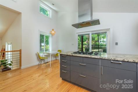 17 Digges Road Asheville NC 28805