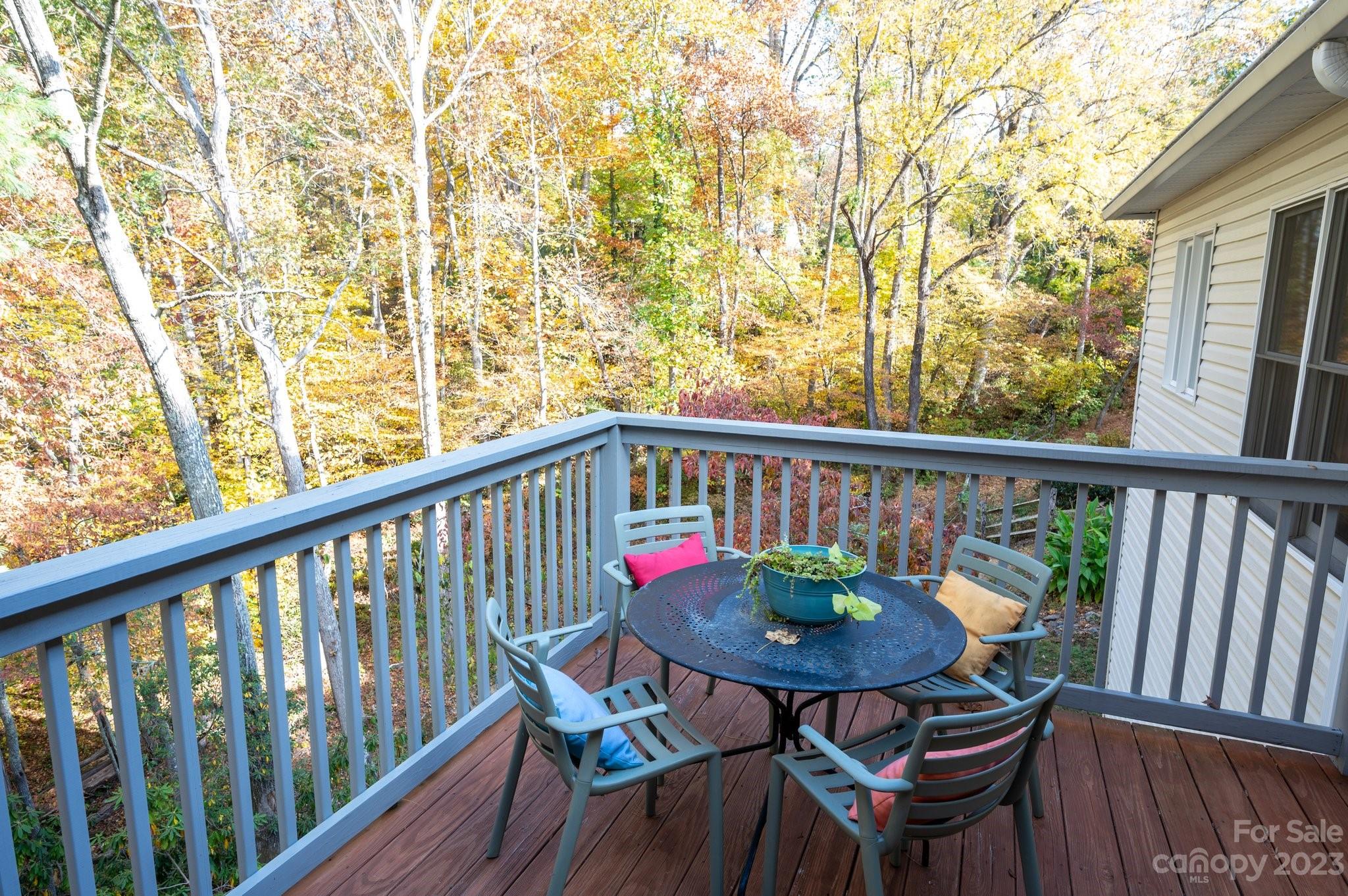 49 Eastmoor Drive Asheville NC 28805