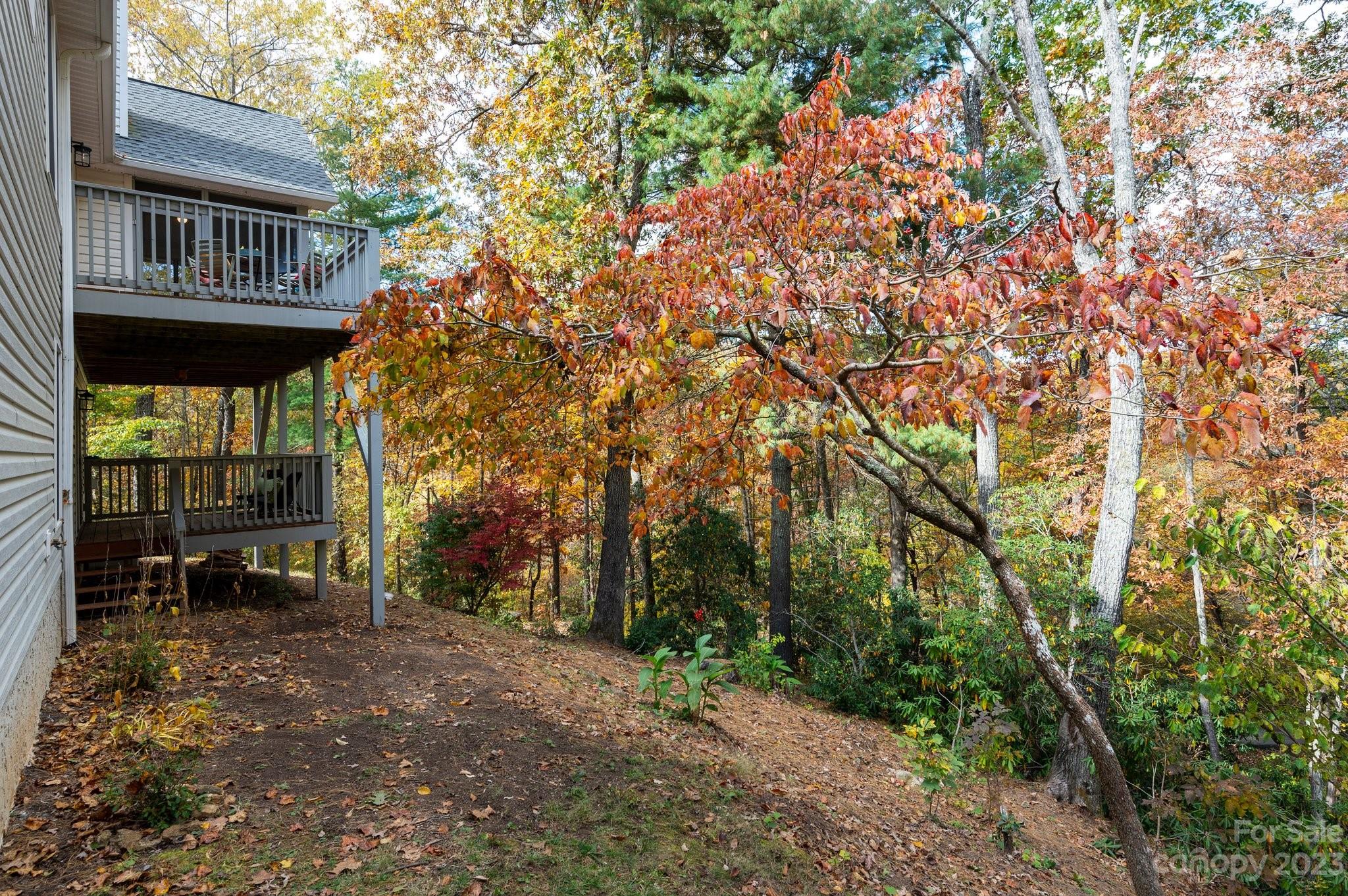 49 Eastmoor Drive Asheville NC 28805