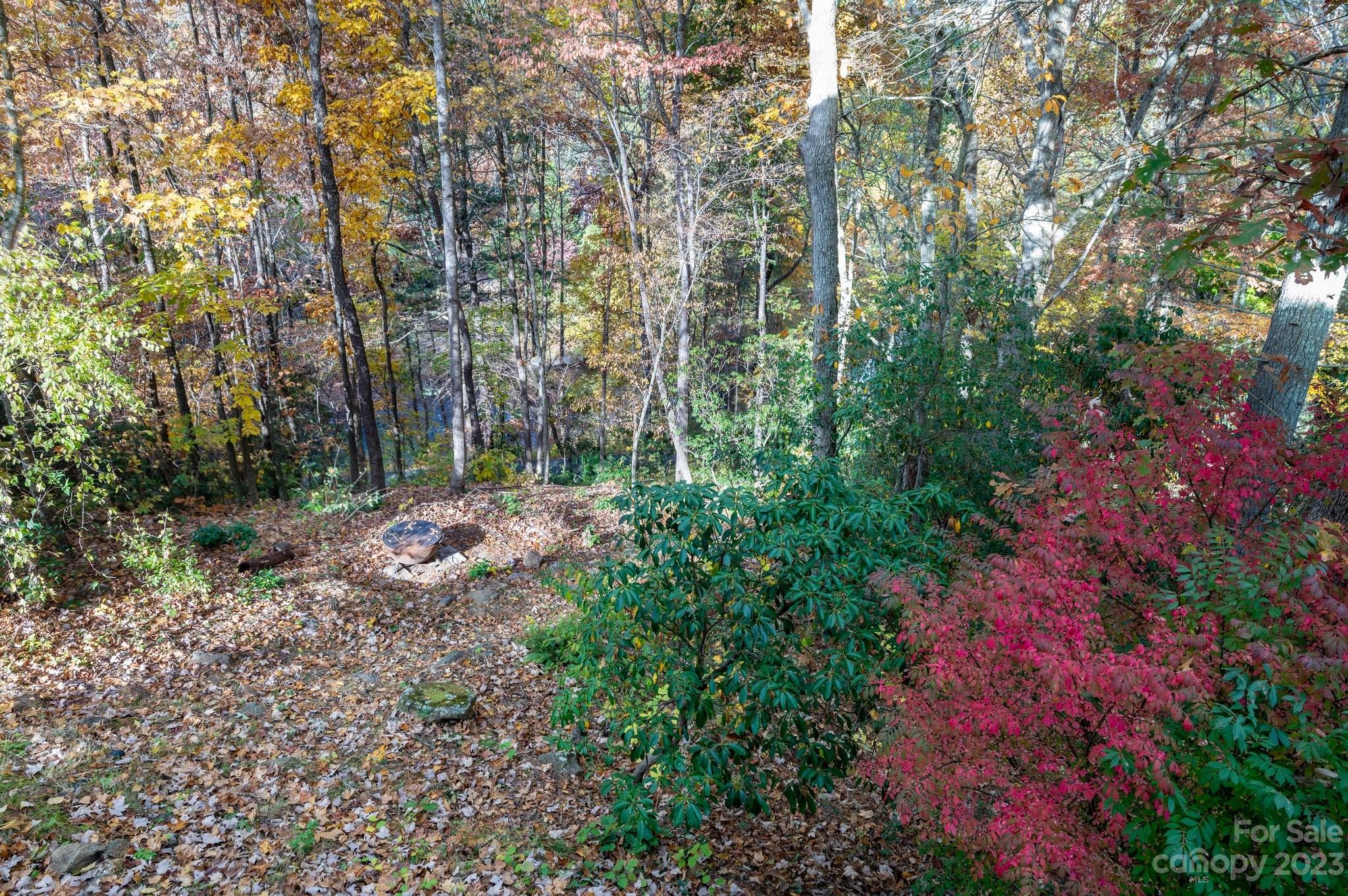 49 Eastmoor Drive Asheville NC 28805