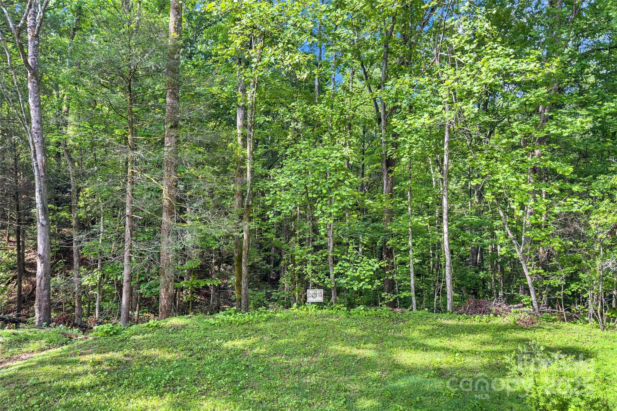 190 Lightning Ridge Marion NC 28752