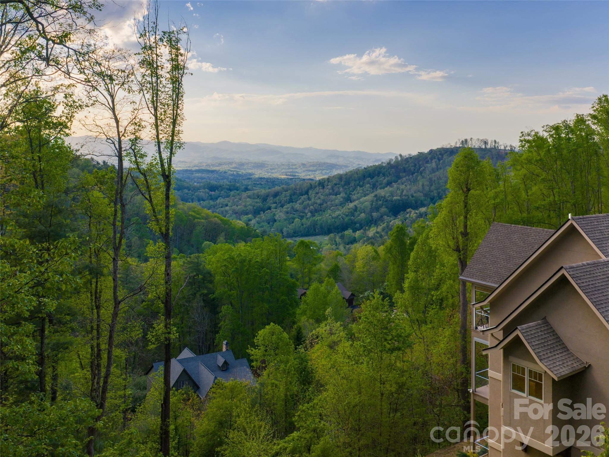 32 Timberwolf Court Asheville NC 28804