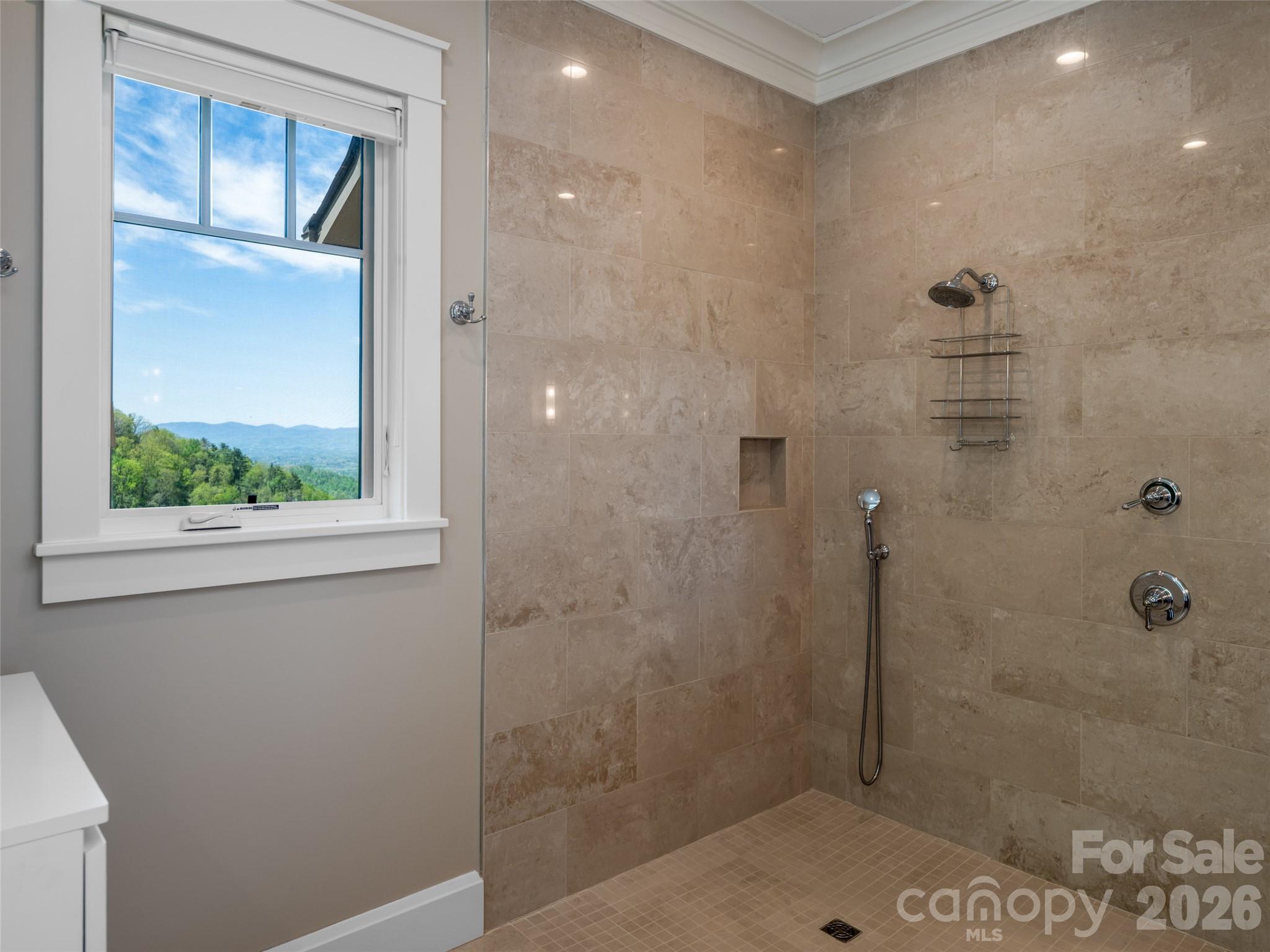 32 Timberwolf Court Asheville NC 28804