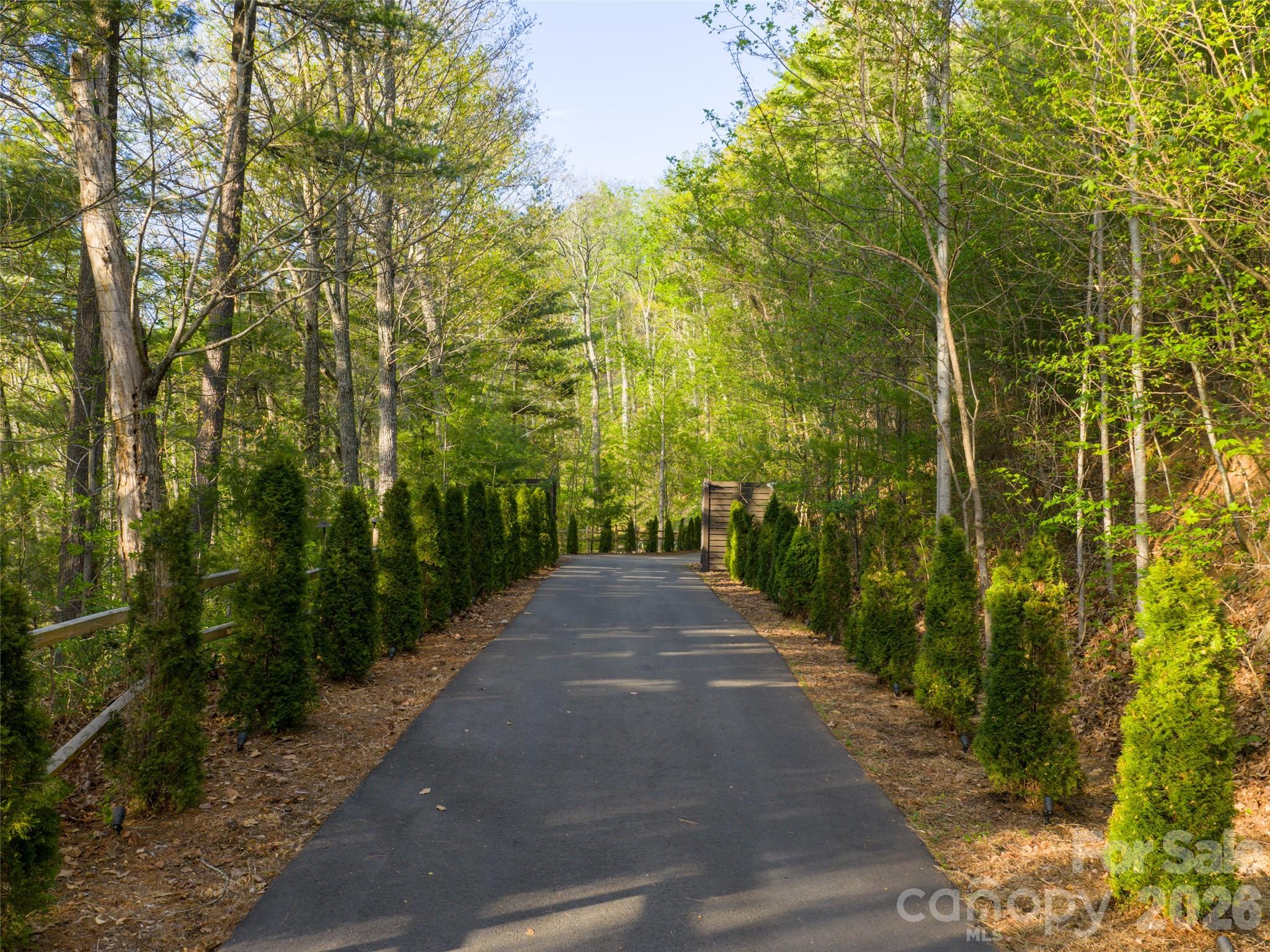 32 Timberwolf Court Asheville NC 28804