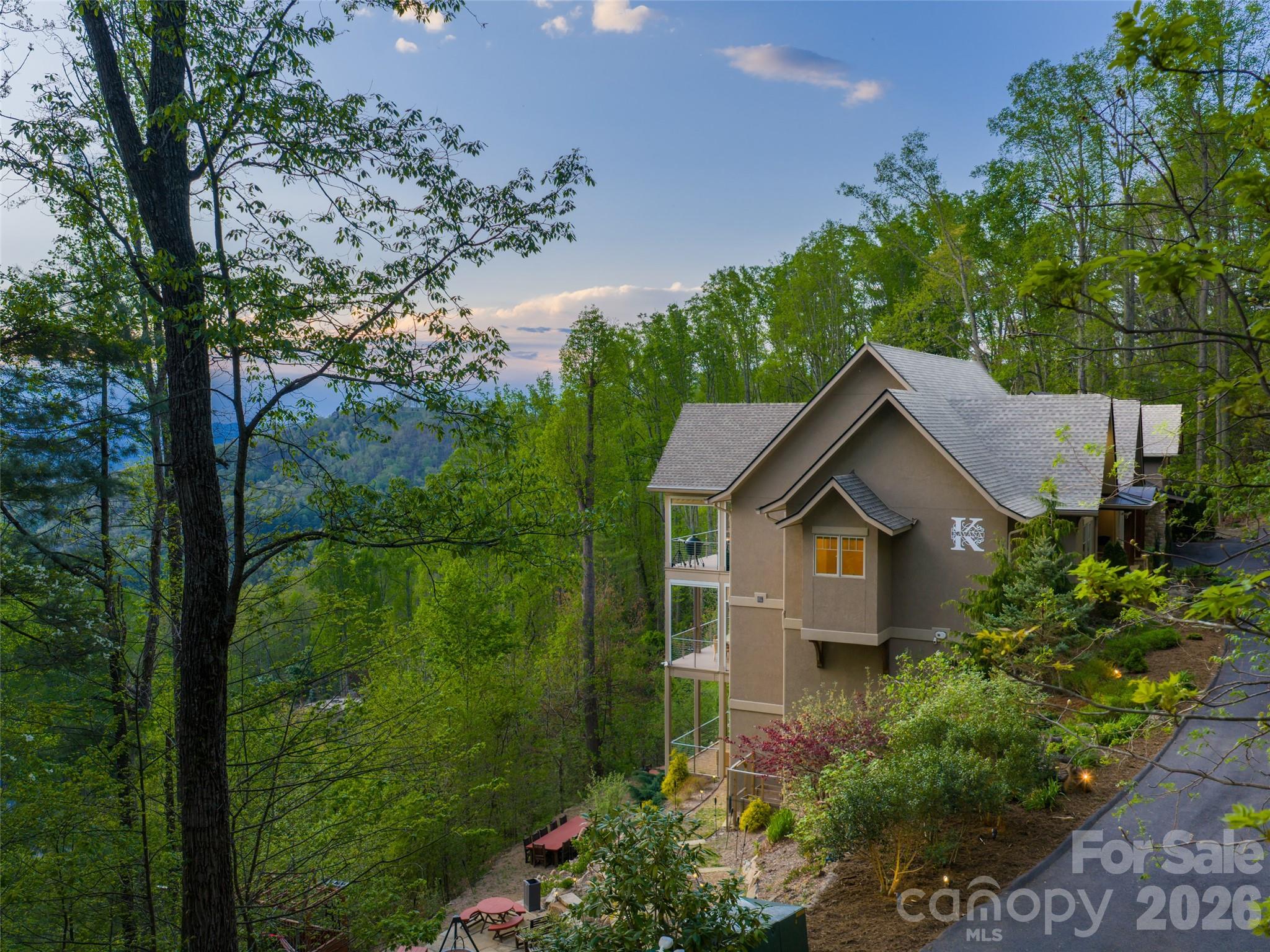 32 Timberwolf Court Asheville NC 28804