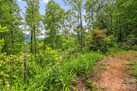 107 Mercy Ridge Sylva NC 28779