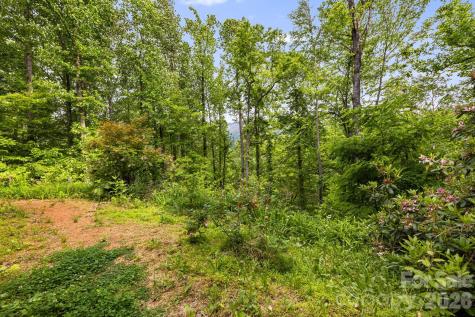 107 Mercy Ridge Sylva NC 28779