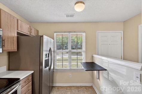 17035 Turning Stick Court Charlotte NC 28213