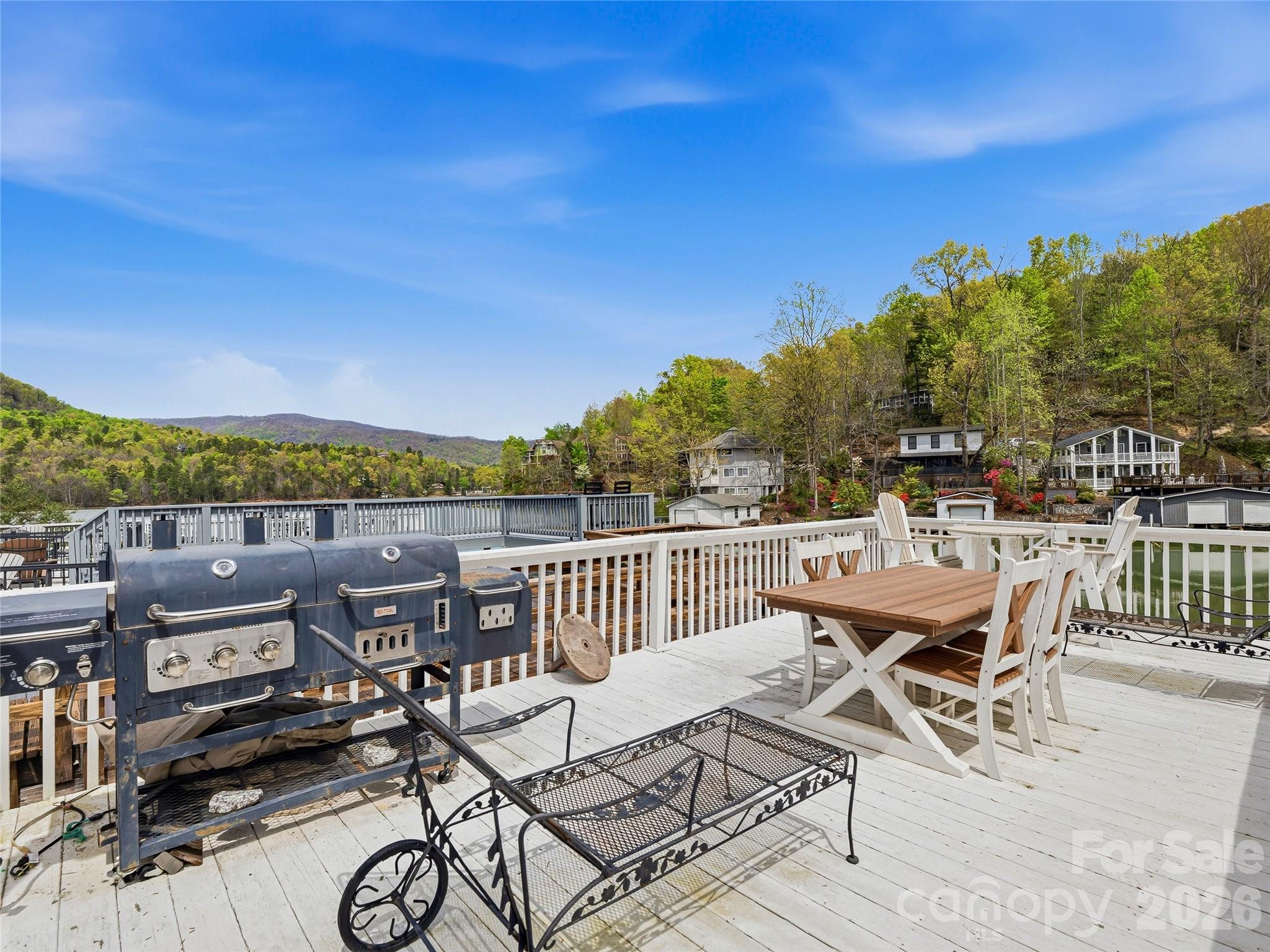 102 Havnaers Point Lake Lure NC 28746