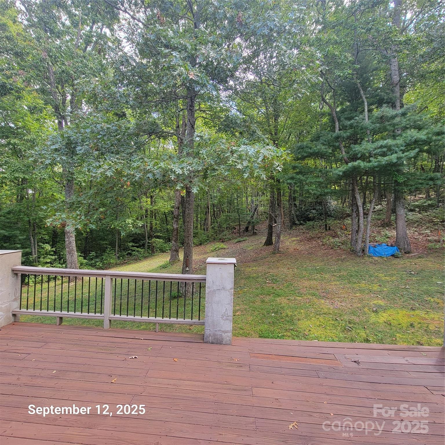 31 Reeds Creek Road Fairview NC 28730