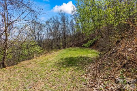 1299 Black Forest Drive Bryson City NC 28713