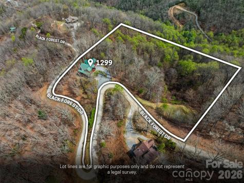 1299 Black Forest Drive Bryson City NC 28713