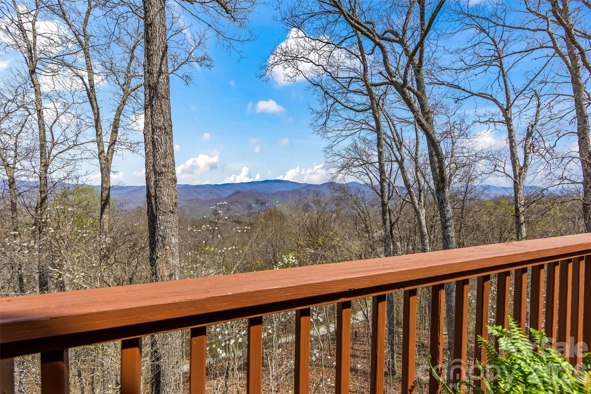 1299 Black Forest Drive Bryson City NC 28713