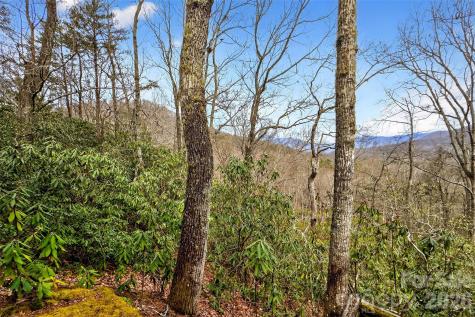 169 Hilltop Road Black Mountain NC 28711