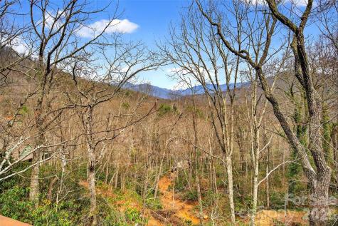 169 Hilltop Road Black Mountain NC 28711