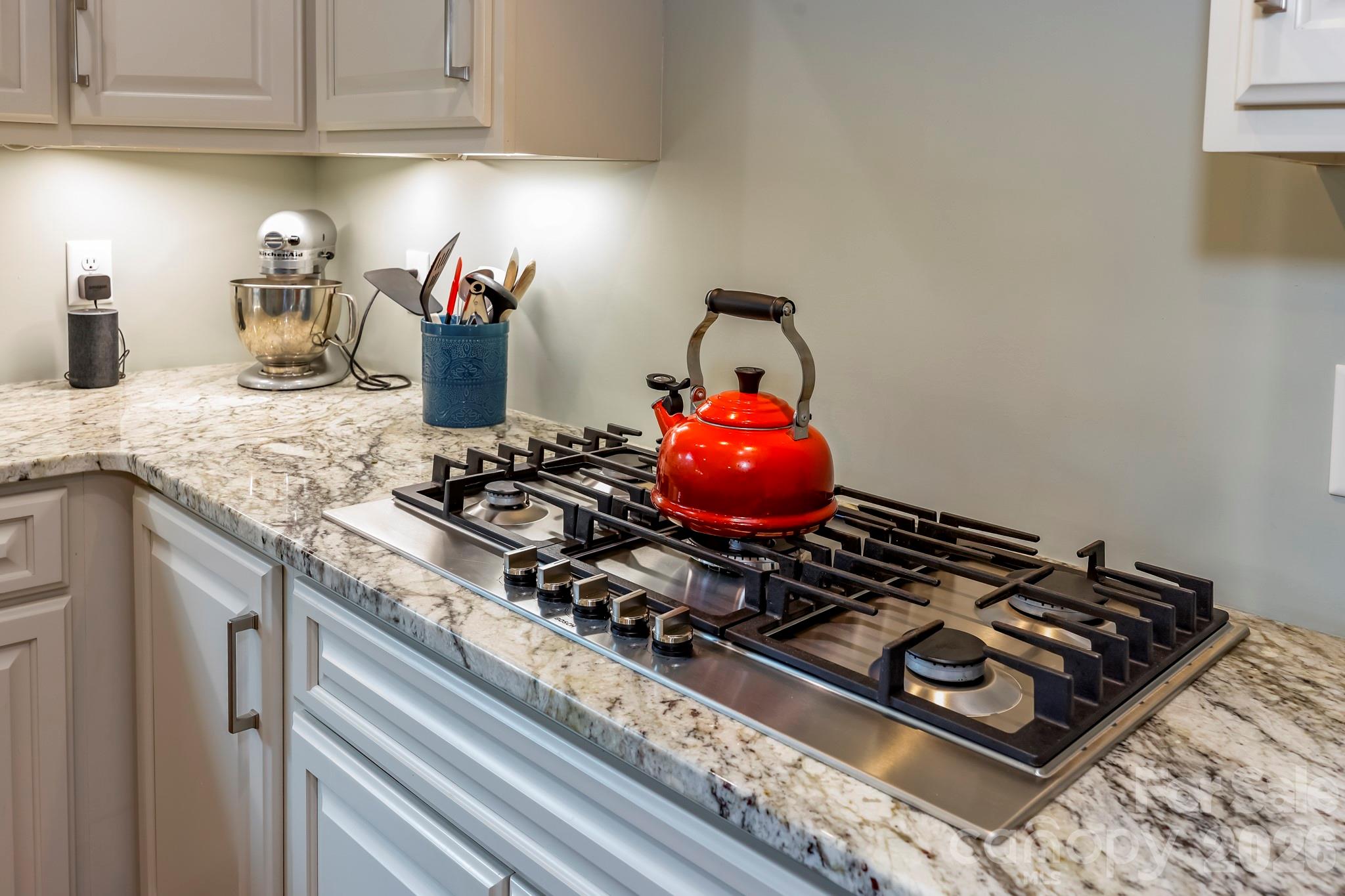 118 Mcowenben Pass Lake Lure NC 28746