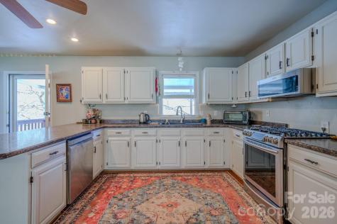3 Taproot Trail Barnardsville NC 28709