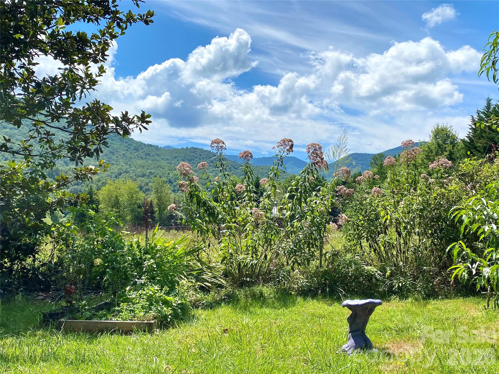 3 Taproot Trail Barnardsville NC 28709