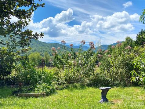 3 Taproot Trail Barnardsville NC 28709