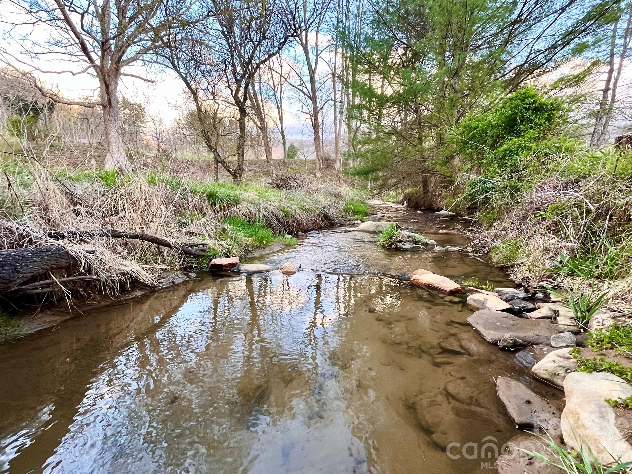 3 Taproot Trail Barnardsville NC 28709