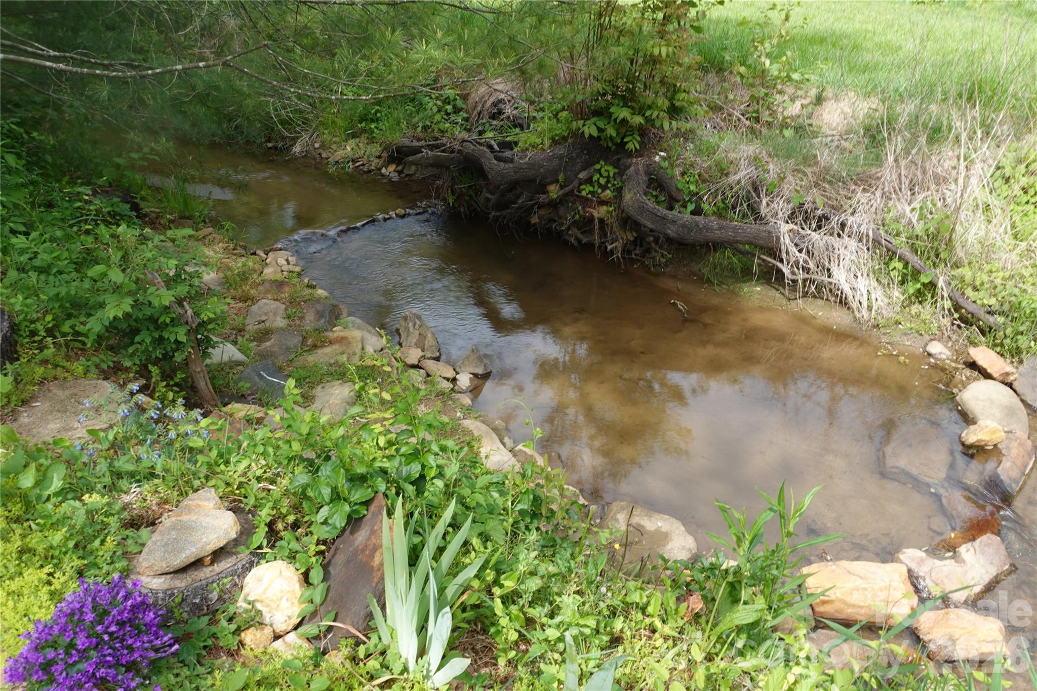 3 Taproot Trail Barnardsville NC 28709