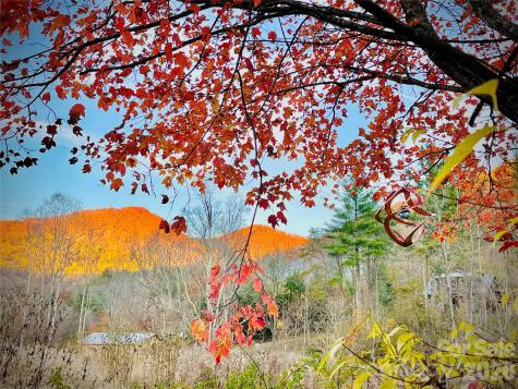 3 Taproot Trail Barnardsville NC 28709
