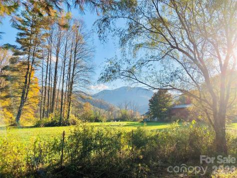 3 Taproot Trail Barnardsville NC 28709