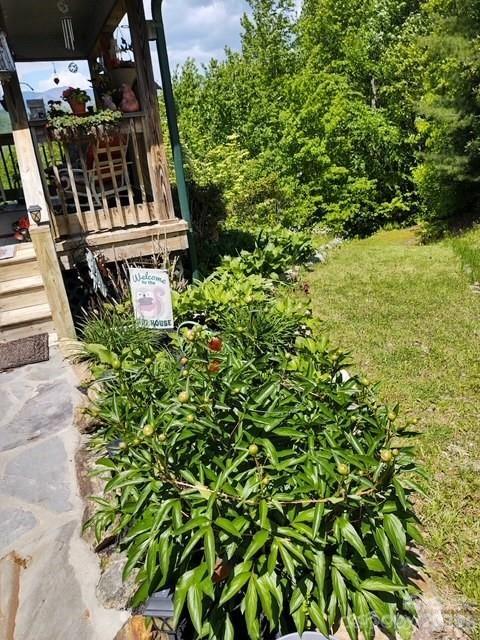 612 Old Home Place Road Tuckasegee NC 28783