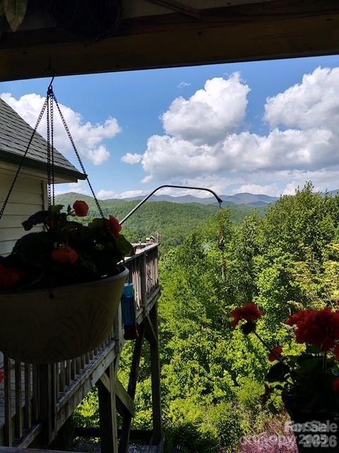 612 Old Home Place Road Tuckasegee NC 28783
