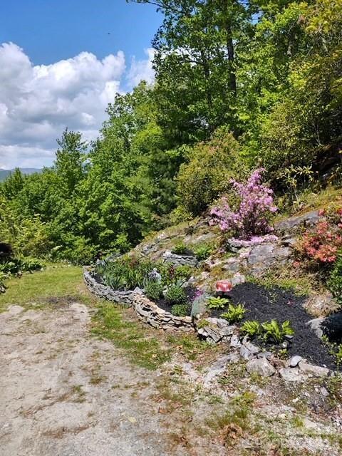 612 Old Home Place Road Tuckasegee NC 28783