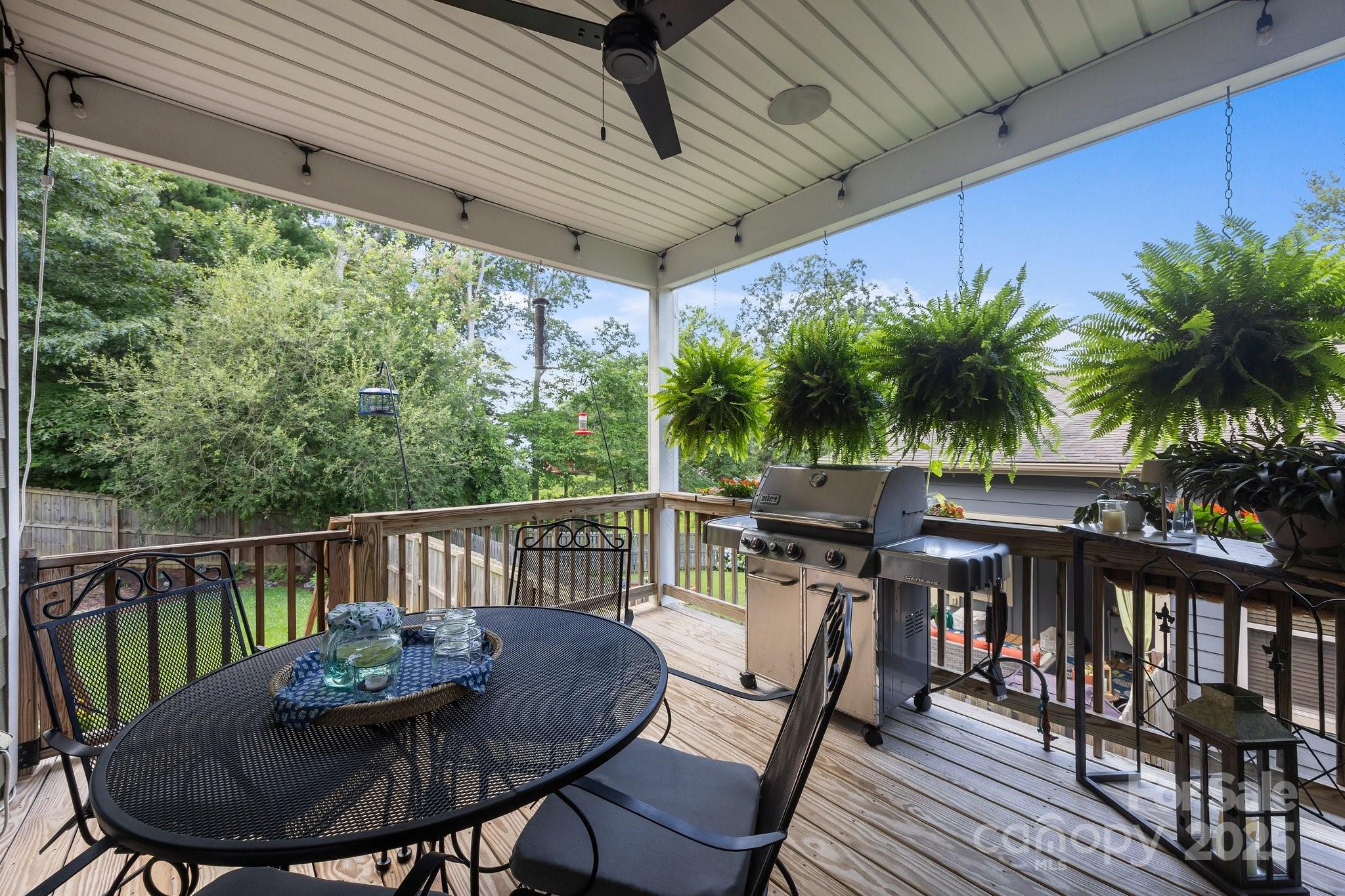 5 Meeting Street Asheville NC 28803