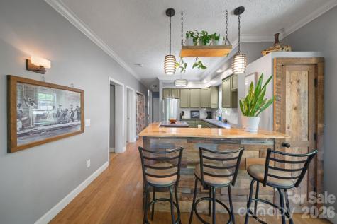 33 Wilmington Street Asheville NC 28806