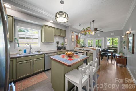 33 Wilmington Street Asheville NC 28806