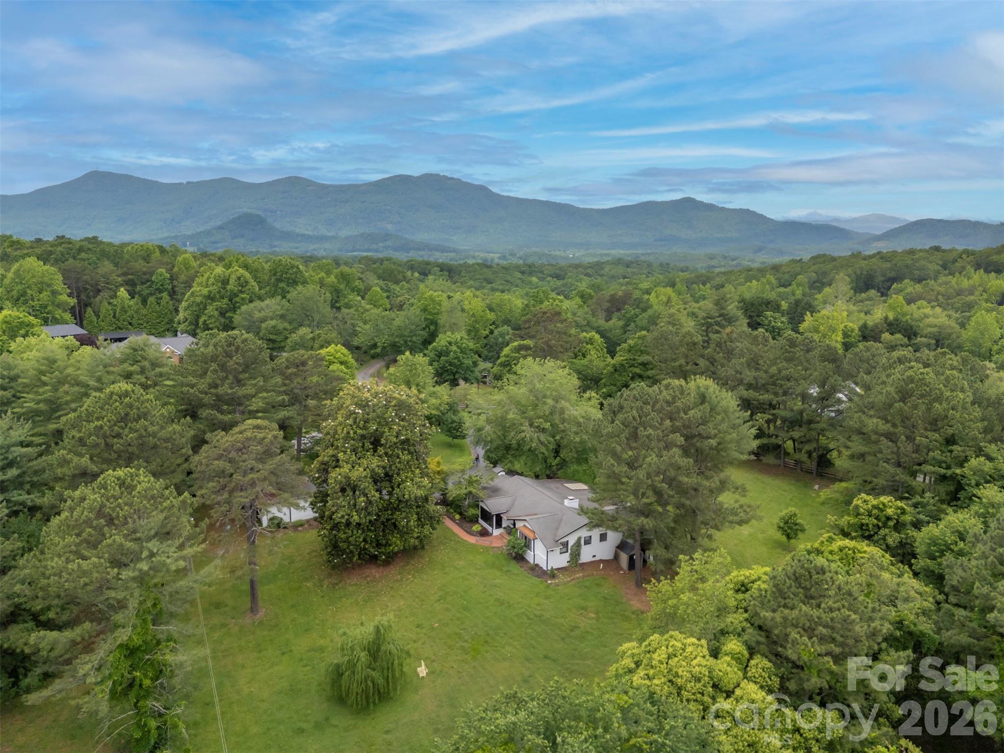 64 Persimmon Hill Drive Columbus NC 28722