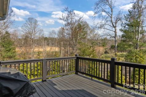2 Wood Path Lane Arden NC 28704