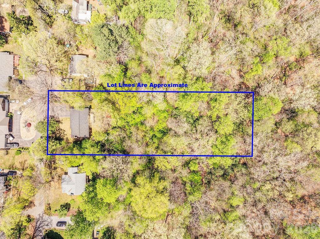 24 Forest Lane Black Mountain NC 28711