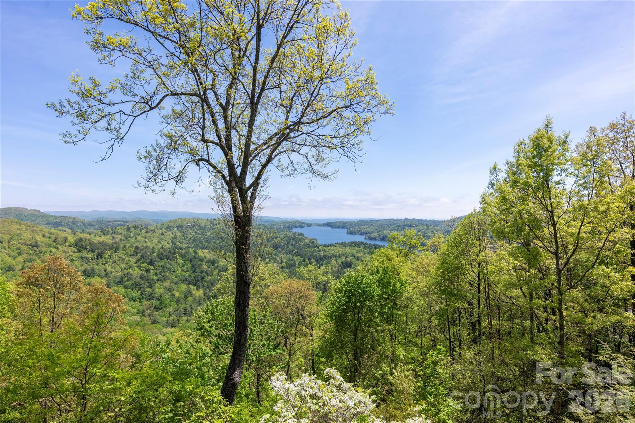 562 Panther Ridge Road Lake Toxaway NC 28747