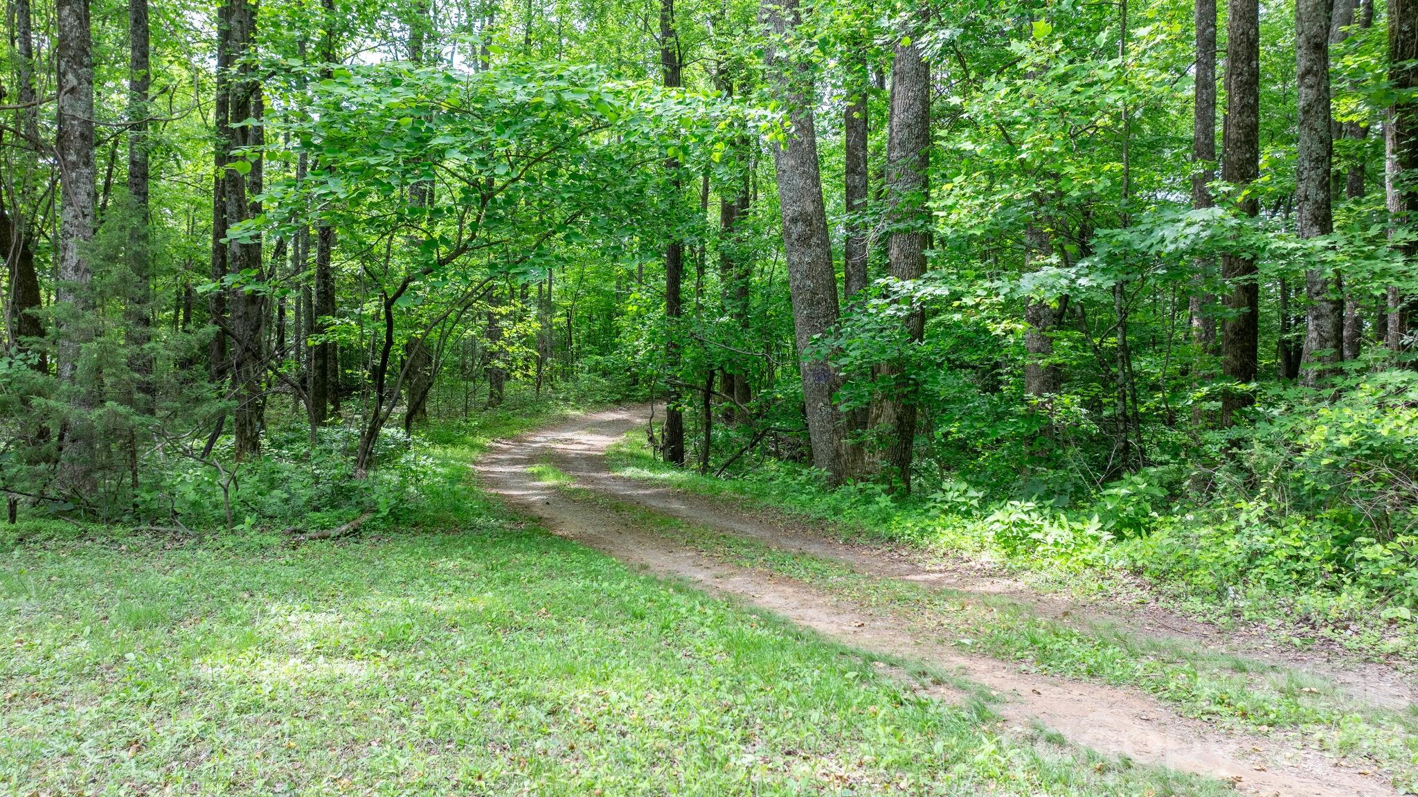 3494 Vannoy Ridge Road Moravian Falls NC 28654