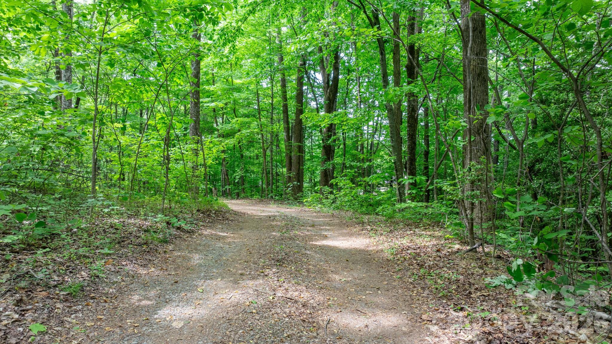 3494 Vannoy Ridge Road Moravian Falls NC 28654