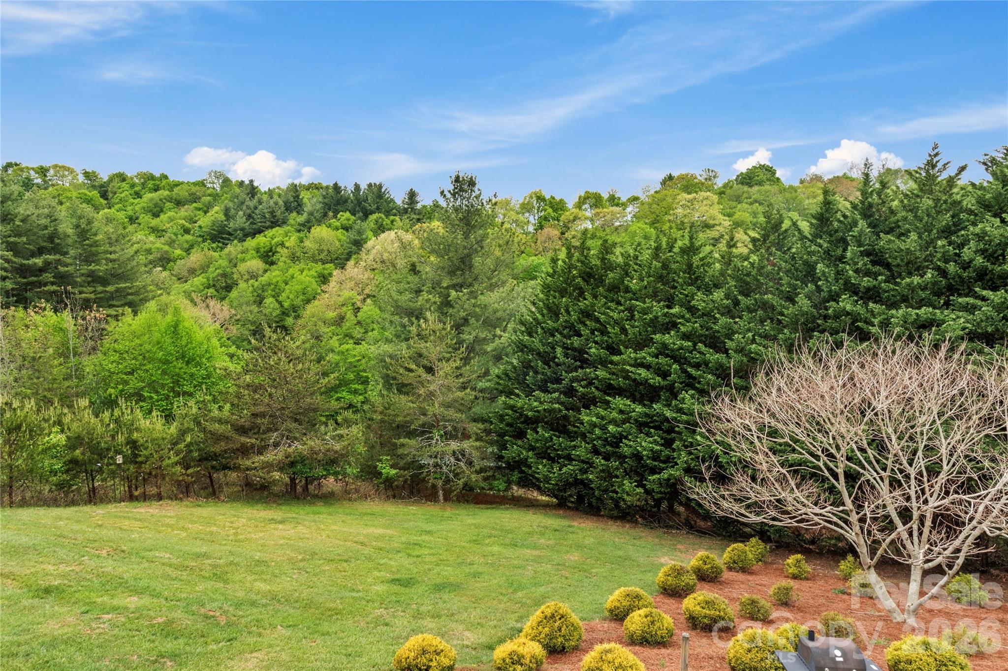 489 Buttons Lane Sparta NC 28675