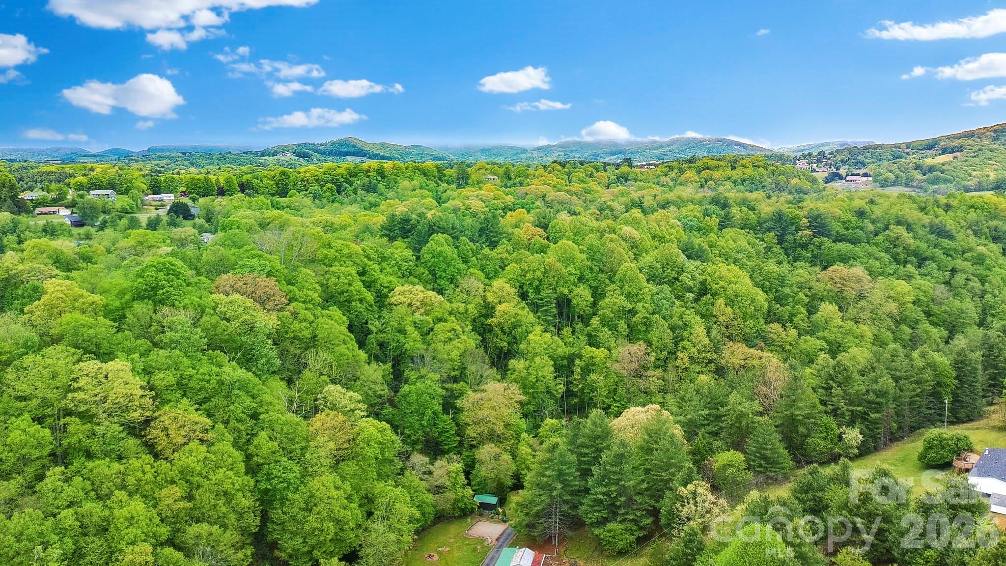 489 Buttons Lane Sparta NC 28675