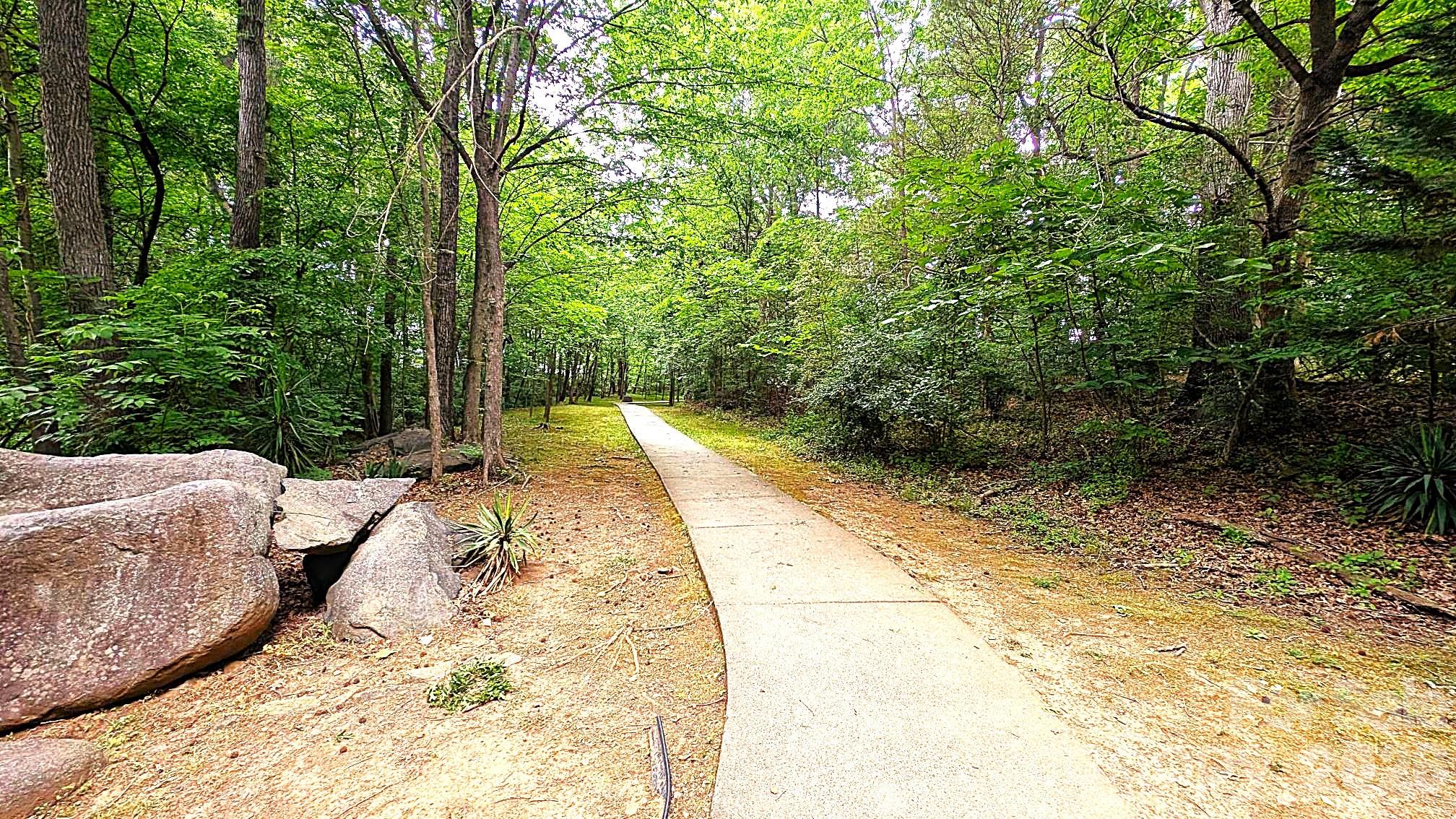 11703 Withers Mill Drive Charlotte NC 28278