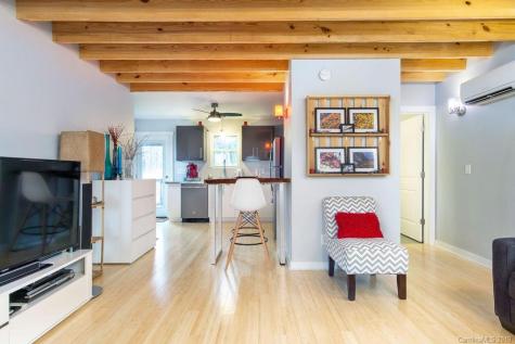 210 Central Avenue Black Mountain NC 28711