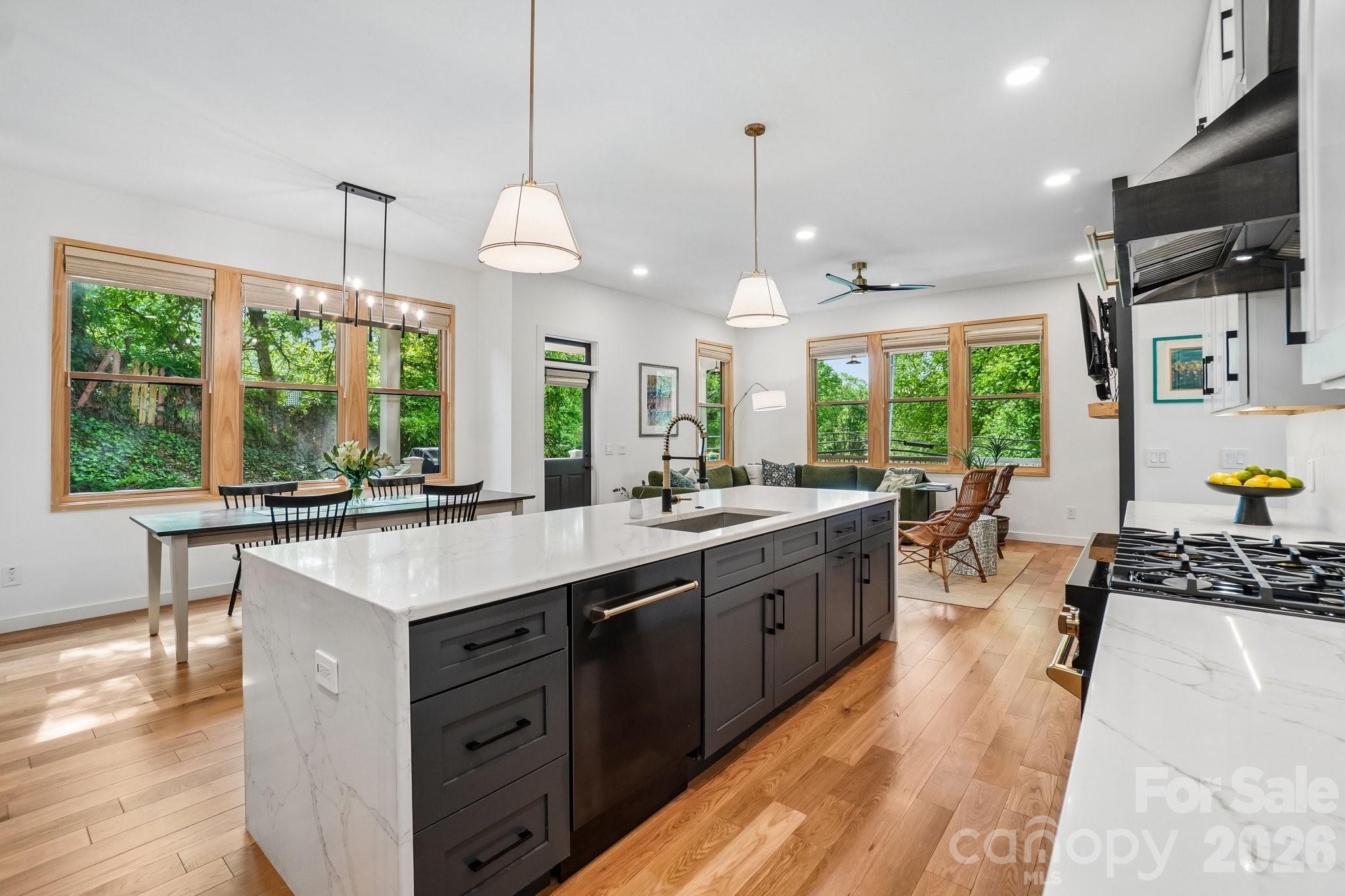 101 Santee Street Asheville NC 28801