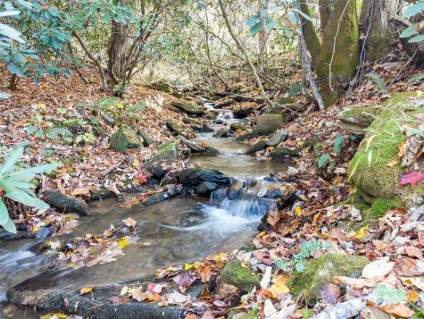214 Crystal Creek Lane Green Mountain NC 28740