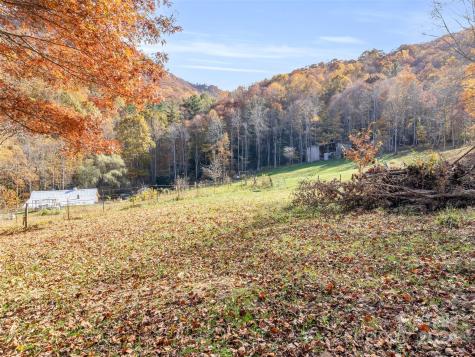 214 Crystal Creek Lane Green Mountain NC 28740
