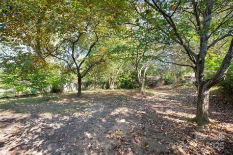 14 Wagon Road Asheville NC 28805