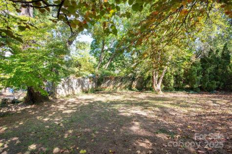 14 Wagon Road Asheville NC 28805