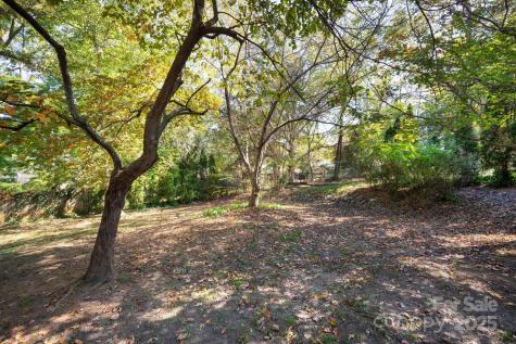 14 Wagon Road Asheville NC 28805