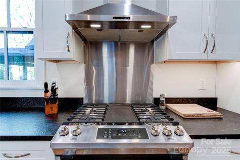 12 Waverly Road Asheville NC 28803